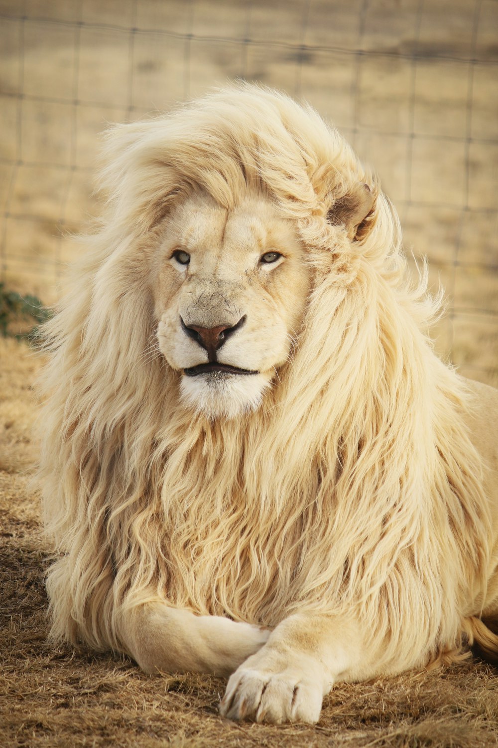 Intricate handcrafted silver and leather goods