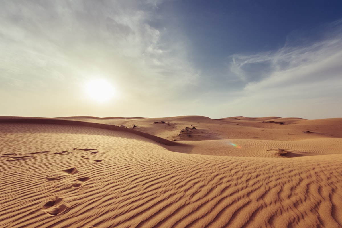 Expansive view of Saharan desert ridge meeting the horizon